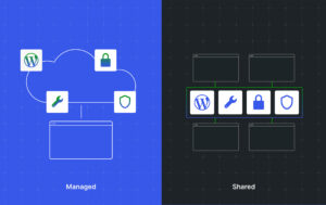 Read more about the article Managed vs. Shared WordPress Hosting: Which is Best for You? 