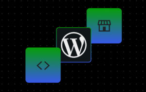 Read more about the article How to Build Faster, Safer Local WordPress Dev Workflows for Your Agency 