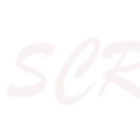 updraftplus.zip